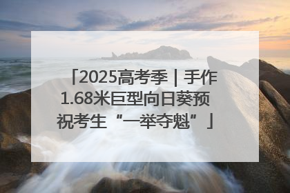 2025高考季｜手作1.68米巨型向日葵预祝考生“一举夺魁”