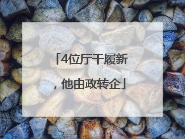 4位厅干履新，他由政转企