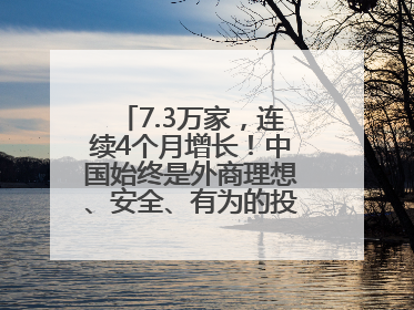 7.3万家，连续4个月增长！中国始终是外商理想、安全、有为的投资目的地