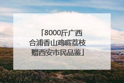 8000斤广西合浦香山鸡嘴荔枝赠西安市民品鉴