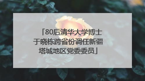 80后清华大学博士于晓栋跨省份调任新疆塔城地区党委委员