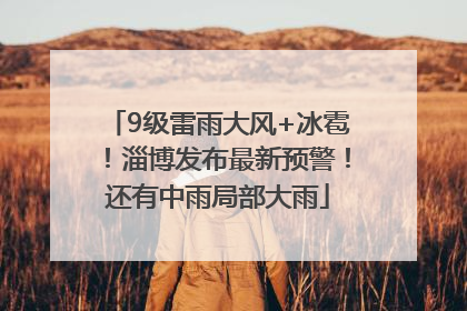 9级雷雨大风+冰雹！淄博发布最新预警！还有中雨局部大雨
