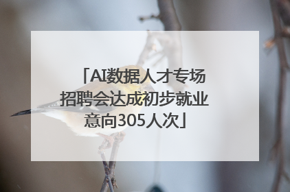 AI数据人才专场招聘会达成初步就业意向305人次
