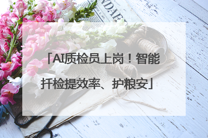 AI质检员上岗！智能扦检提效率、护粮安