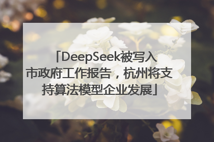 DeepSeek被写入市政府工作报告，杭州将支持算法模型企业发展