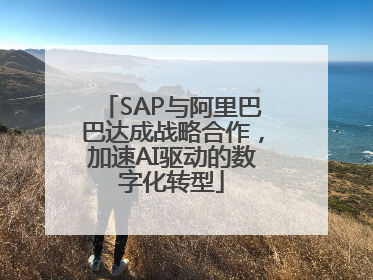 SAP与阿里巴巴达成战略合作，加速AI驱动的数字化转型